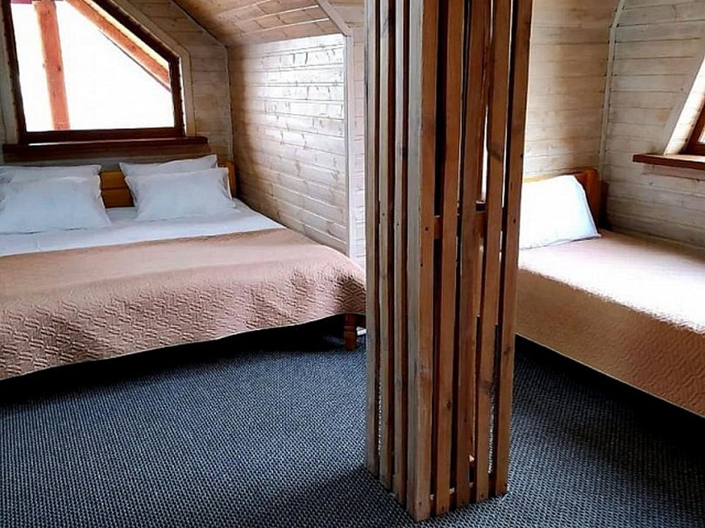 Фото Кленовая роща