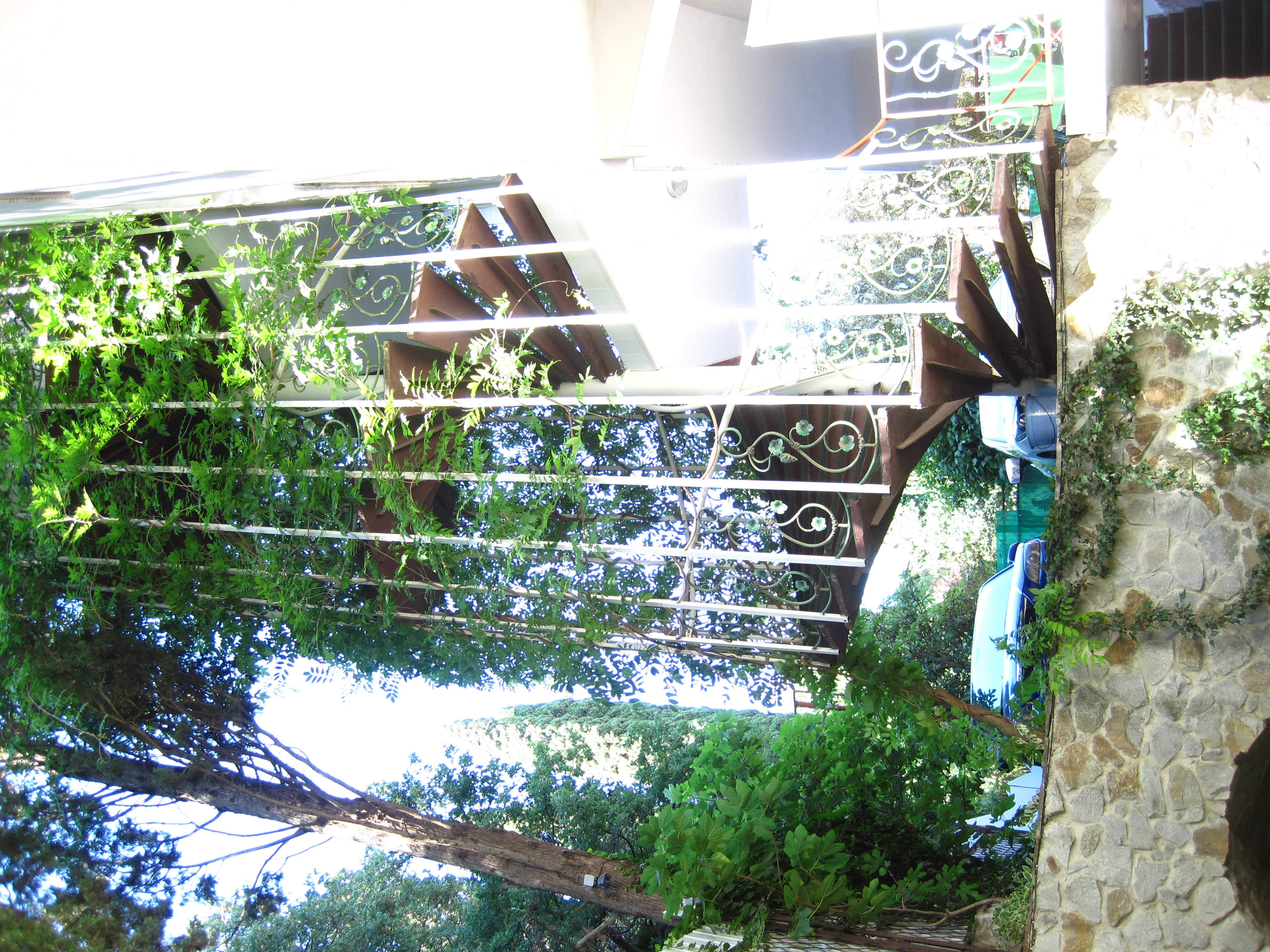 Фото Вилла Лилия