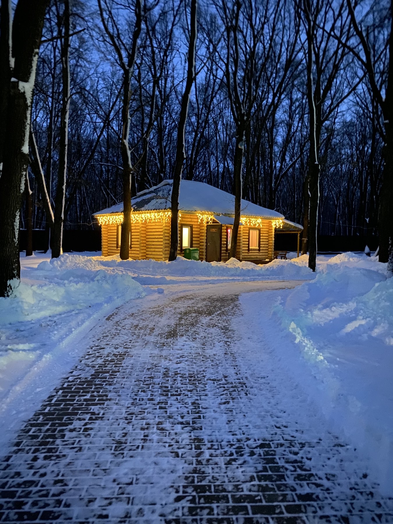 Фото Дубрава