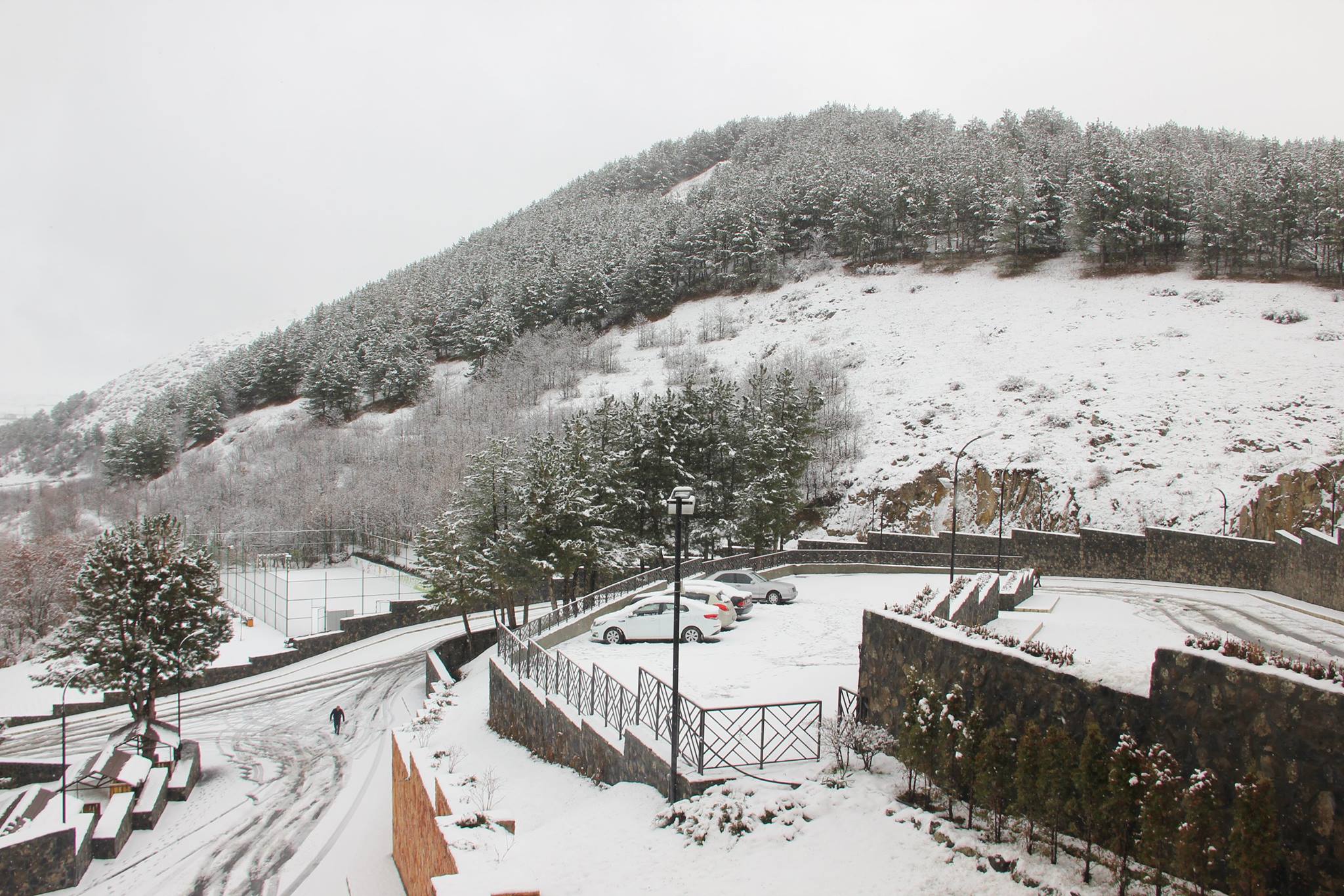 Фото Арарат Резорт