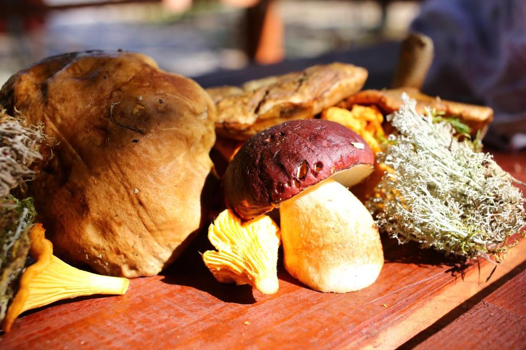 Фото Усадьба на Шамокше