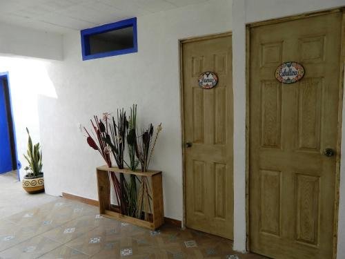 Фото Ikali Hostel