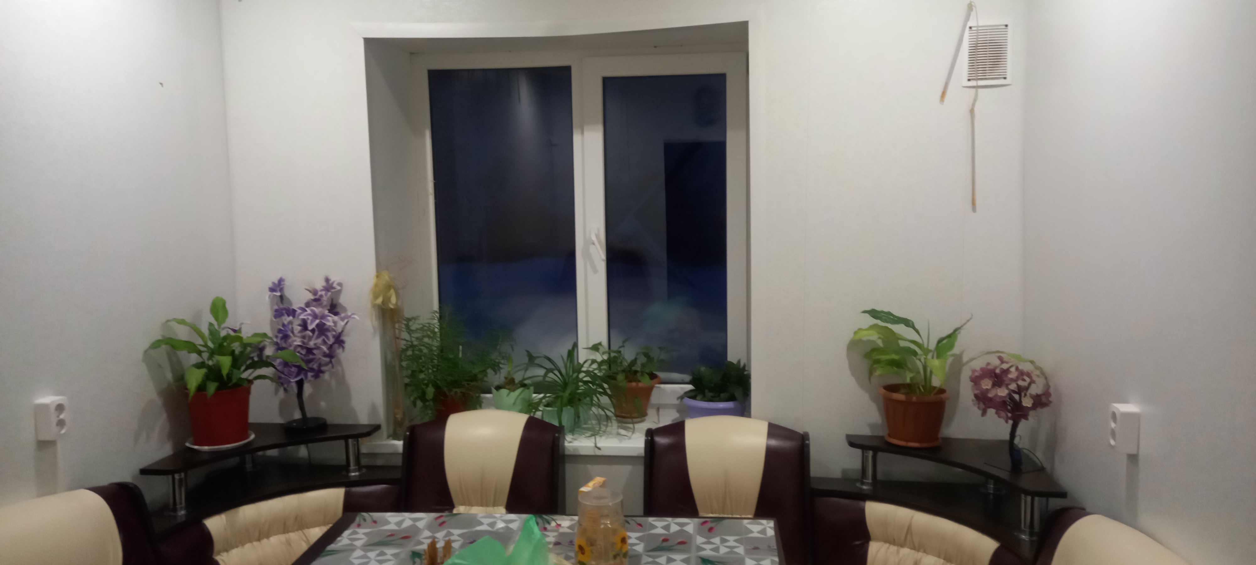 Фото Феникс