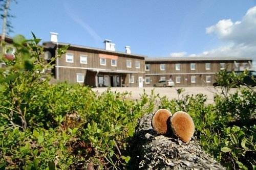 Фото отеля 2