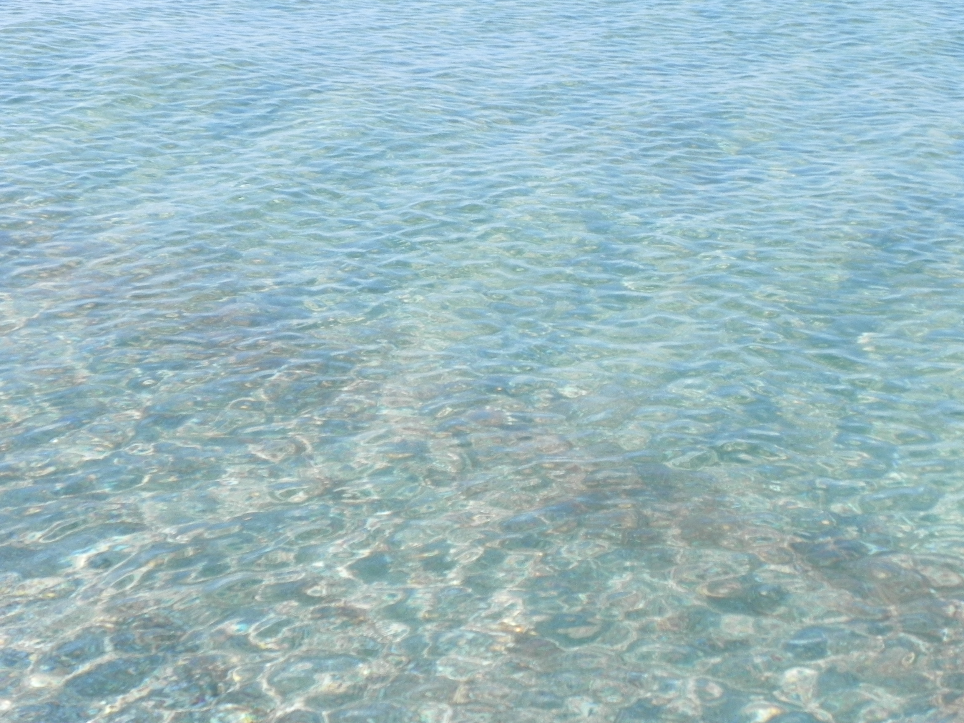 Фото Фанни Вероника