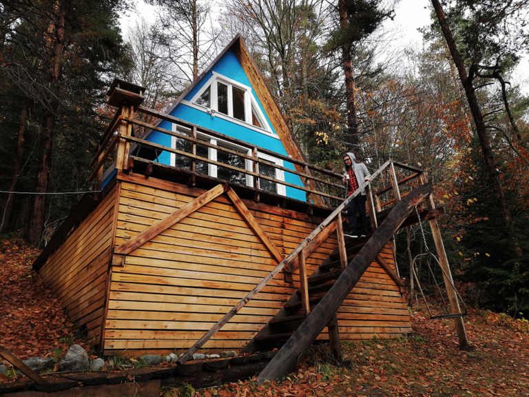 Фото Лесной кот