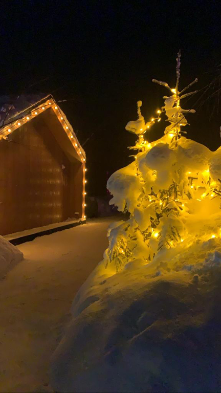 Фото ДомДомВалдай
