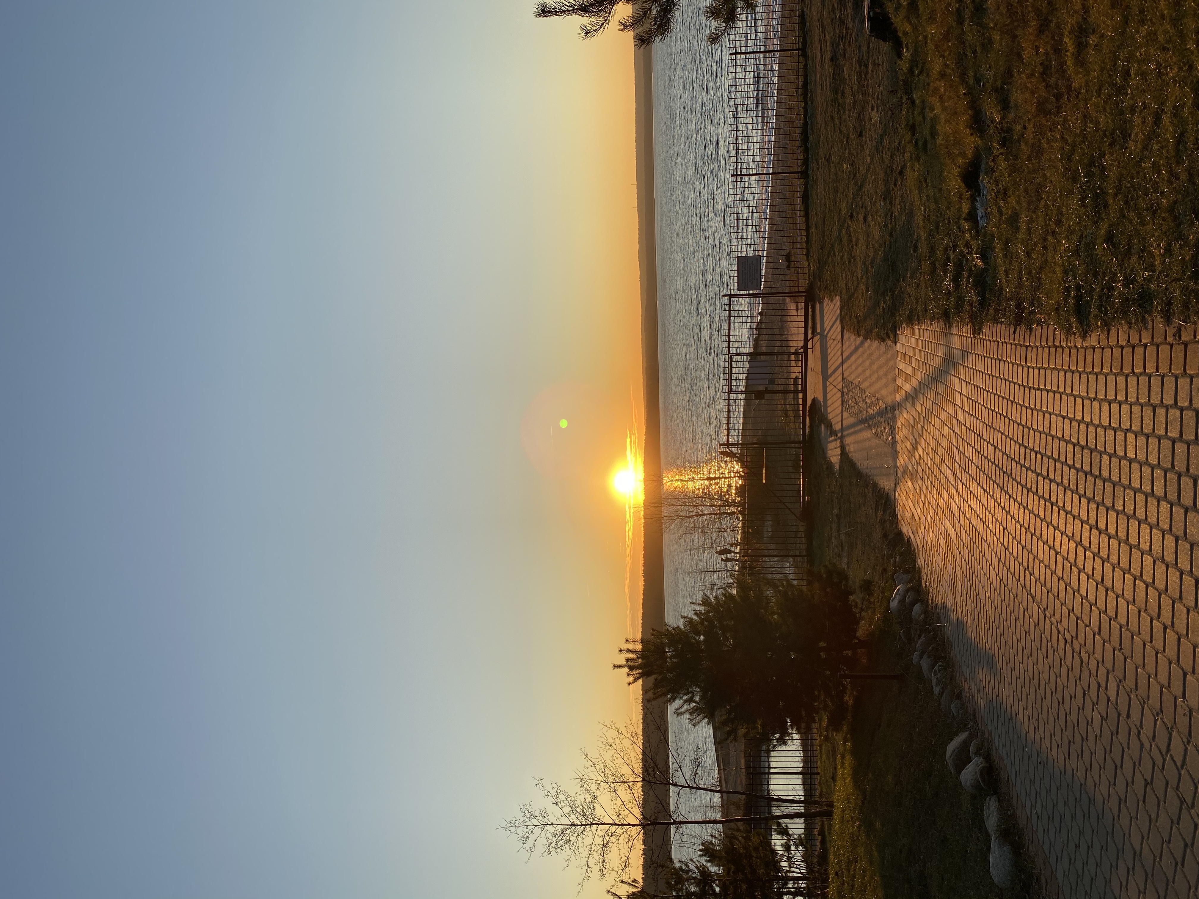 Фото Жемчужина