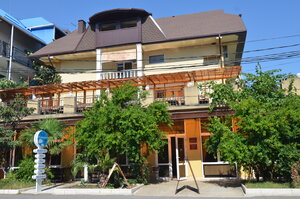 ����-������ - �������� ���