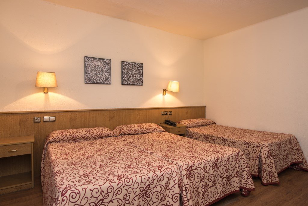 Фото Evenia Nivalis