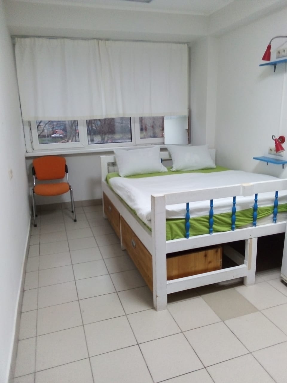 Фото Вежливый лось на Юго-Восточной