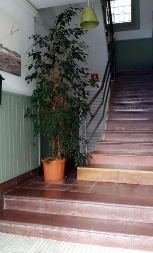 Фото Hostal Juanita