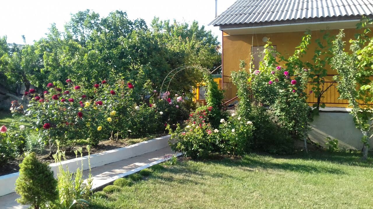 Фото Вилла Гармония