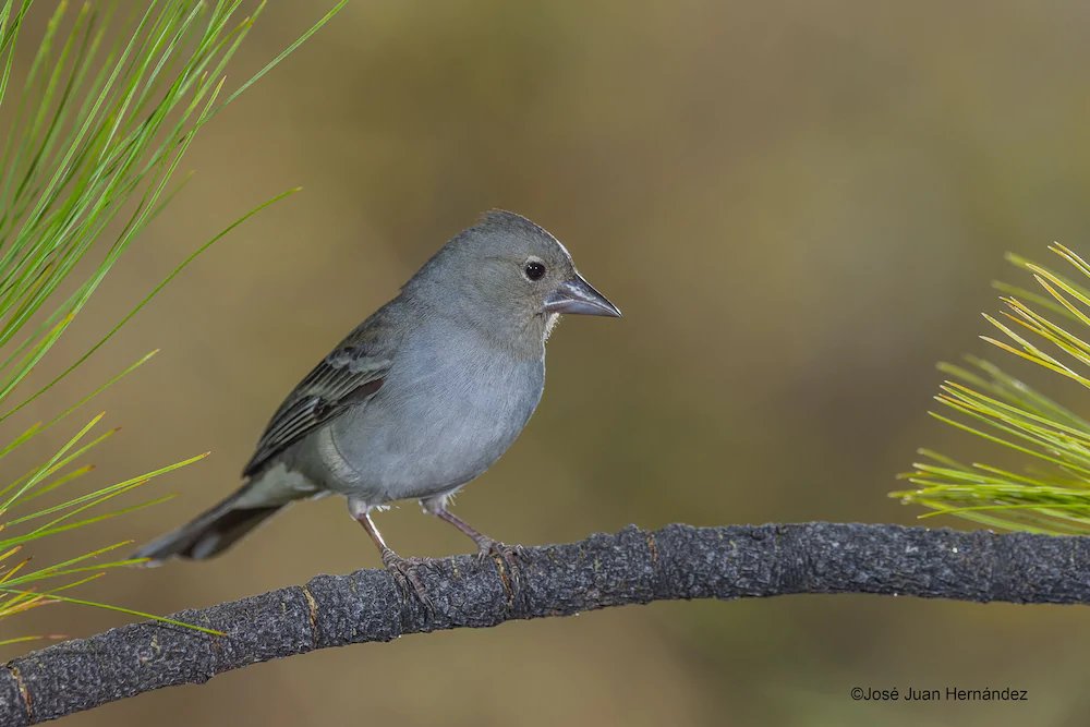 Фото Casa Rural Monte Del Agua