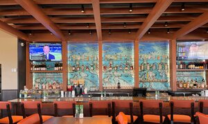 Outback Steakhouse (Texas, Fort Worth), bar, pub