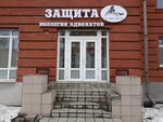 Защита (Sotsialisticheskiy Avenue, 38), attorney