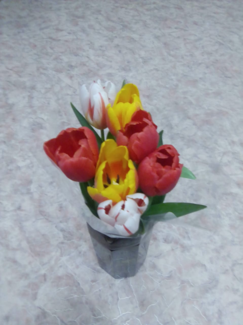 Фото Бренсон