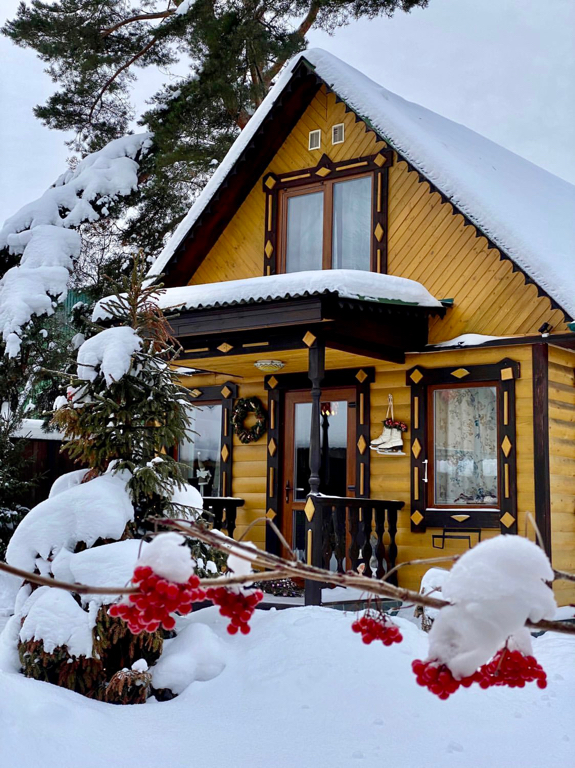 Фото Дом Шишки