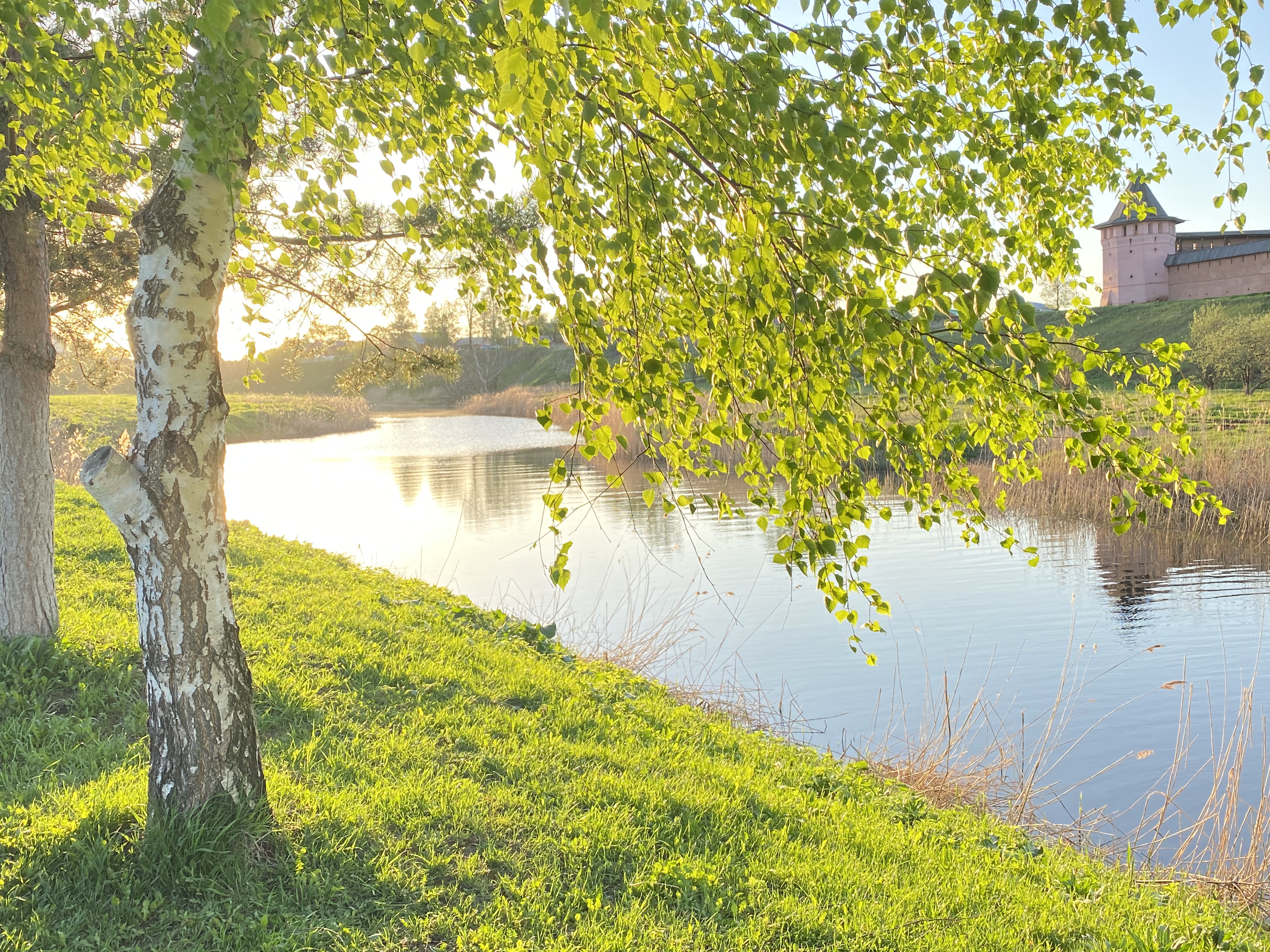 Фото Самоварное заведение в Суздале