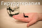 Girudoterapia (dachny posyolok Cherkizovo, Sosnovaya alleya, 2/37), wellness center