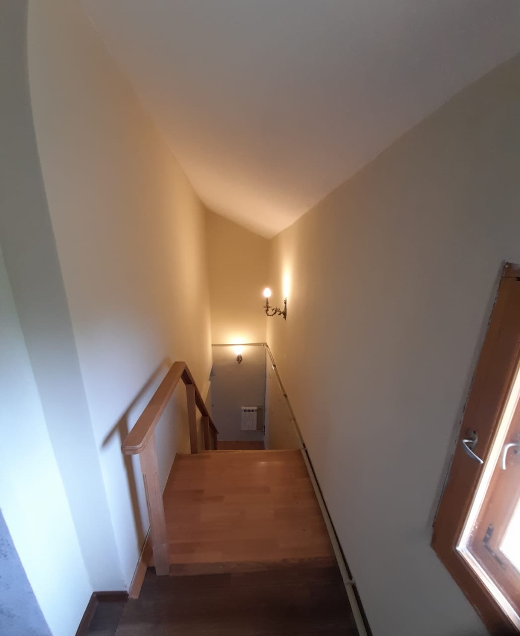 Фото Тетушка Сова