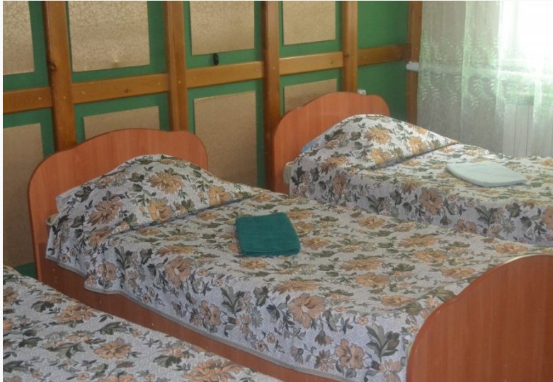 Фото Березка