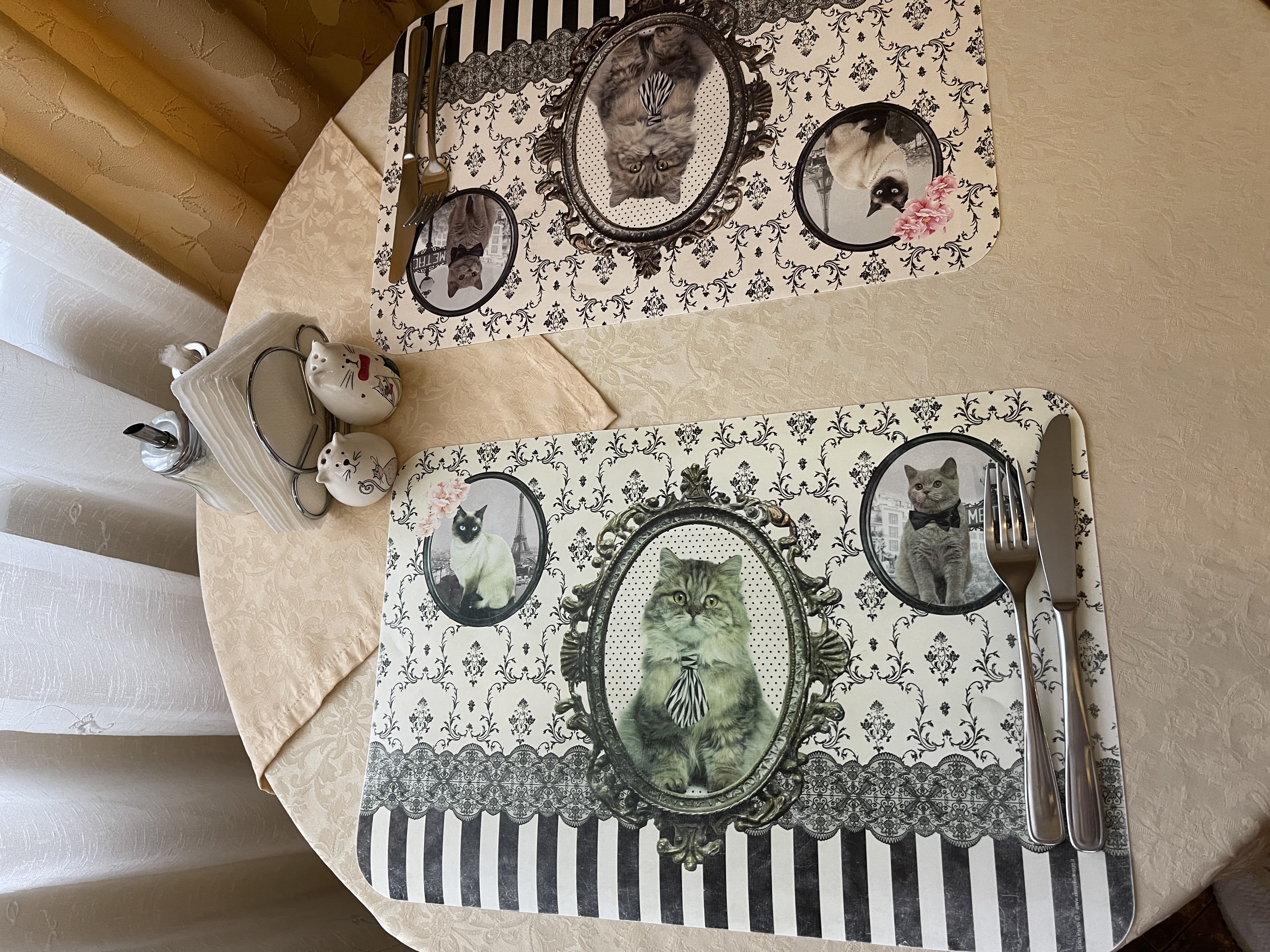 Фото Кошкин дом