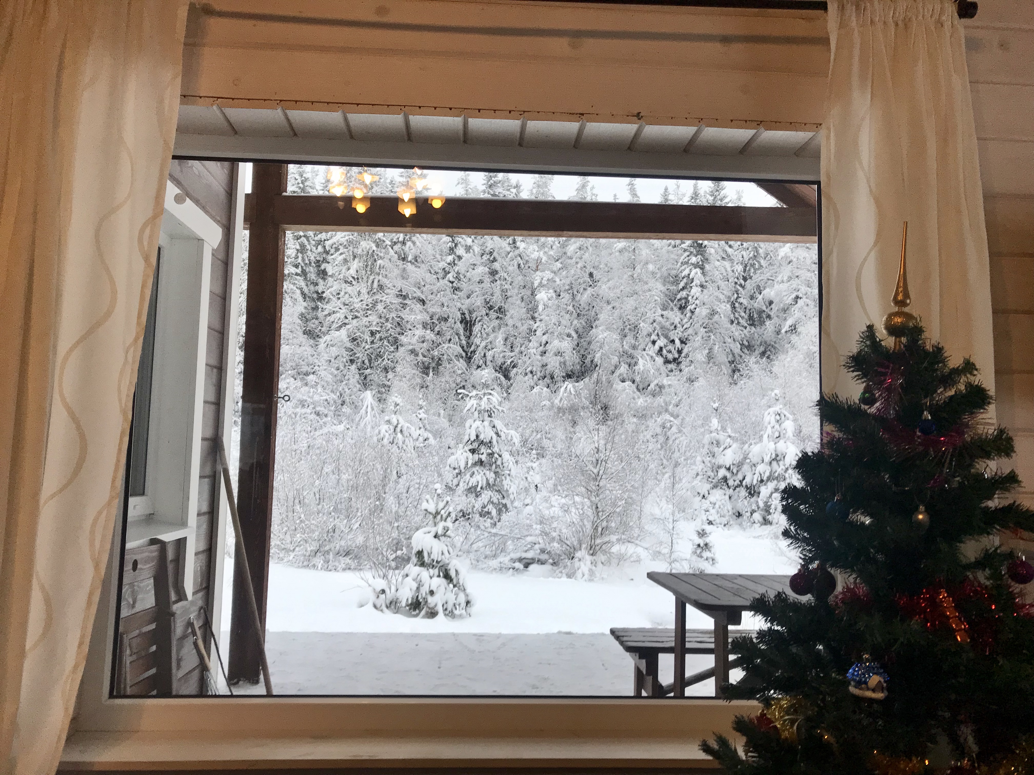 Фото Филина Гора