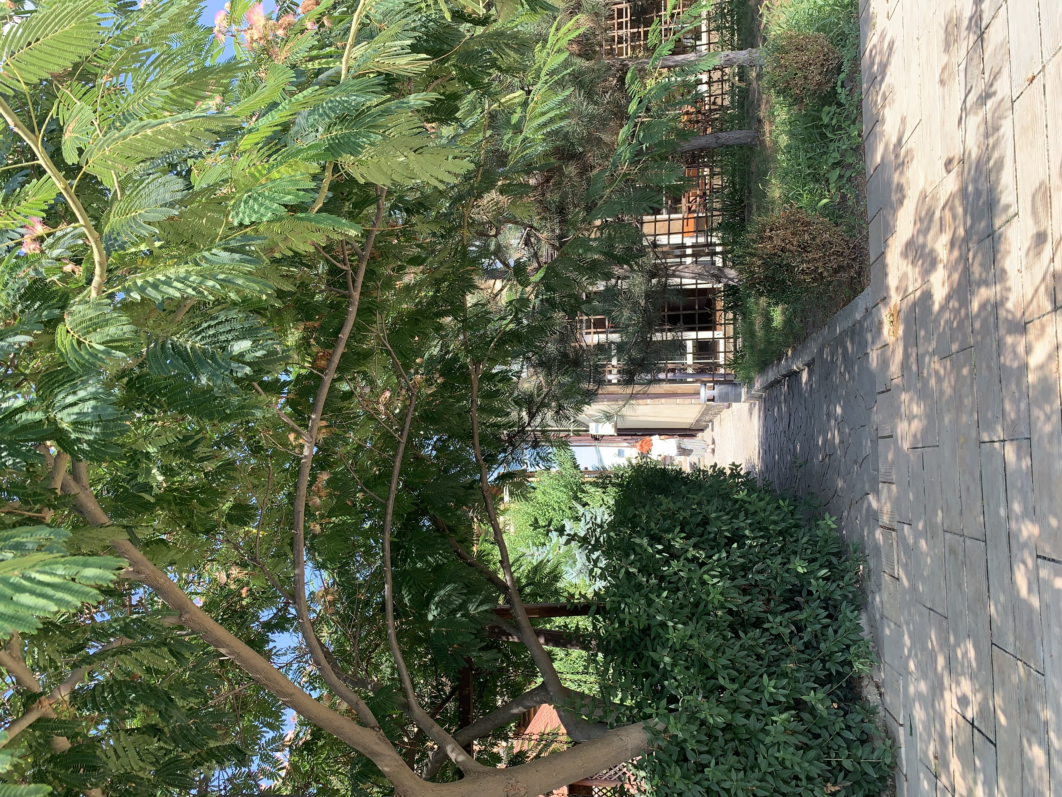 Фото Скифская долина