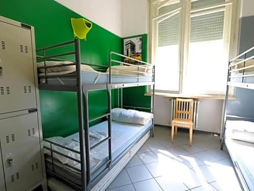 Фото Koala Hostel