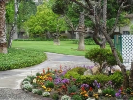 Фото Los Gatos Lodge