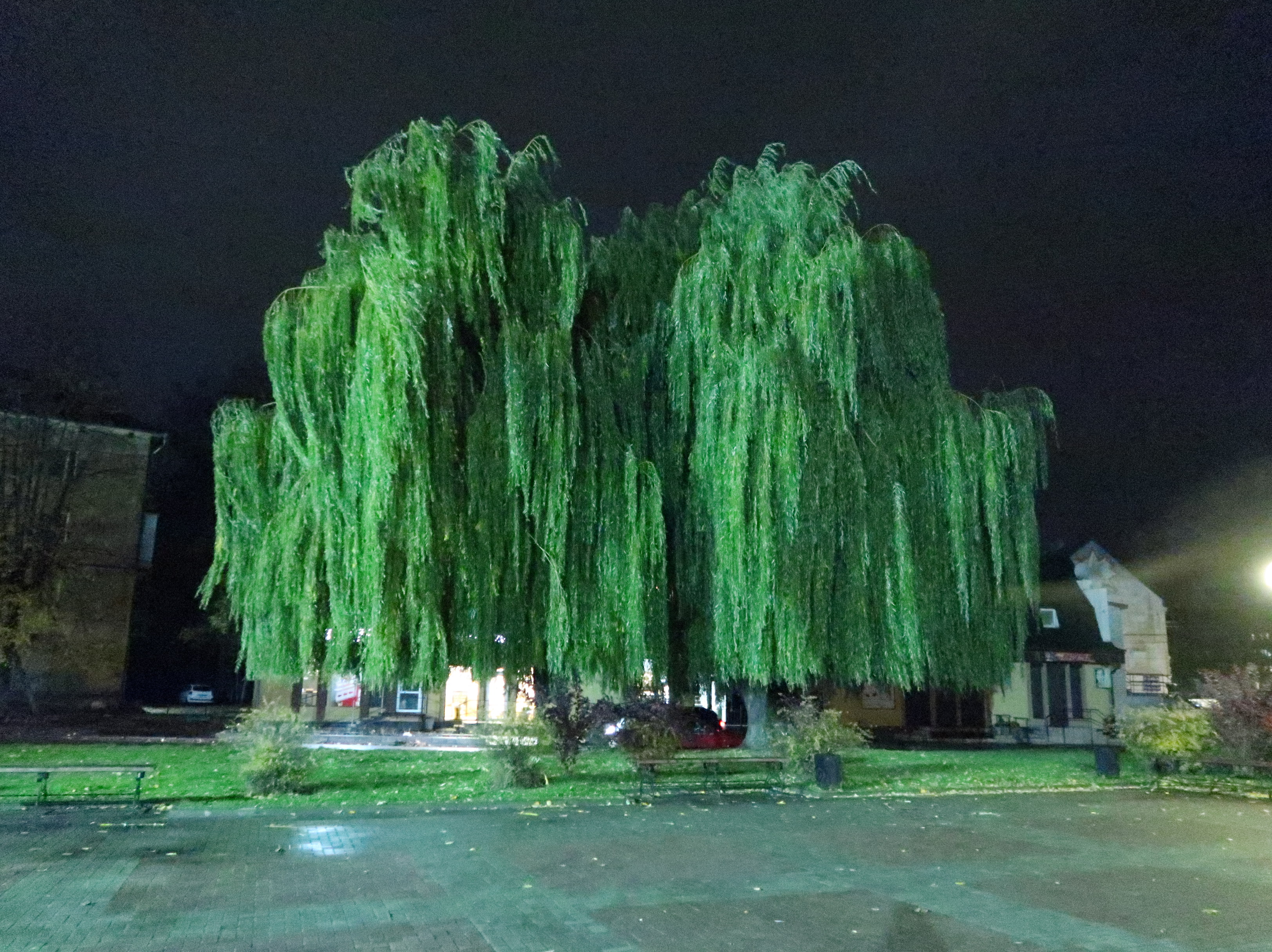 Фото Россия