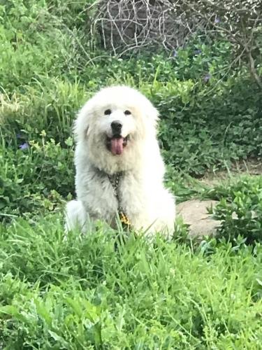 Фото Marine View Shimane