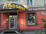 Avoska (ulitsa imeni D.V. Yemlyutina, 51), grocery