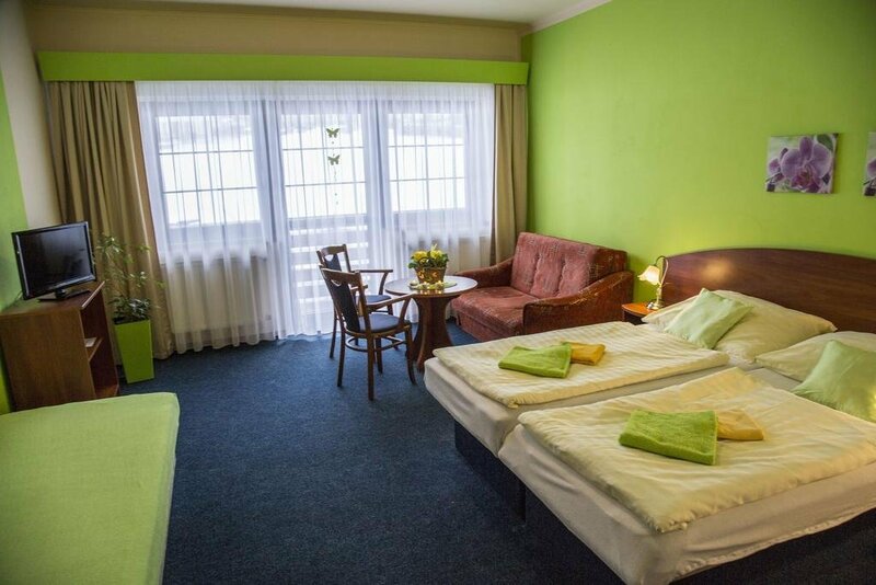 Гостиница Hotel Centrum Harrachov