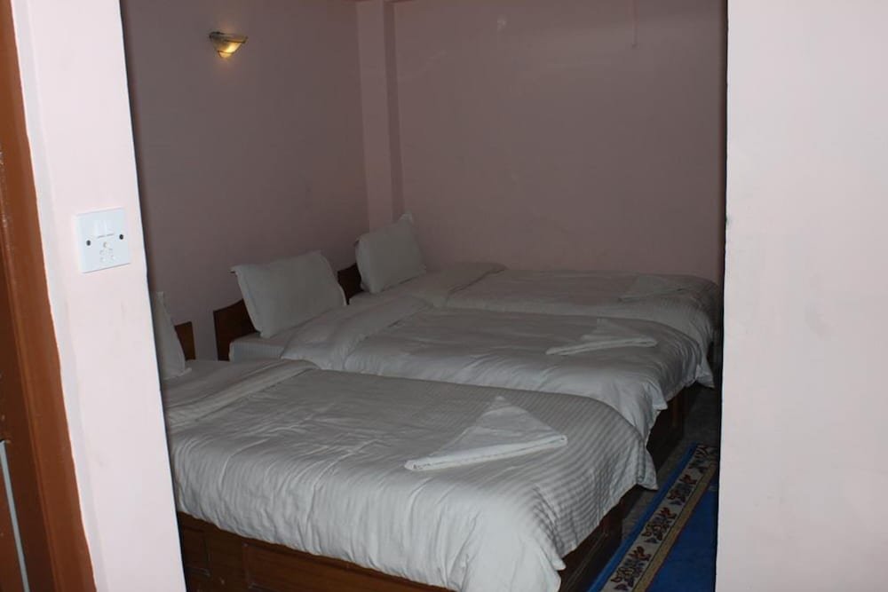 Фото Festoon Hotel