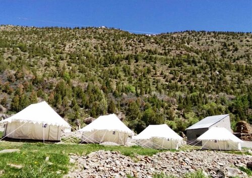 Гостиница Tih Himalayan Shakia Camp - Jispa