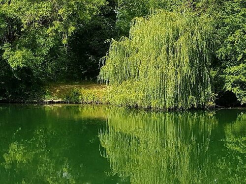 Гостиница Face au Jardin в Коньяке