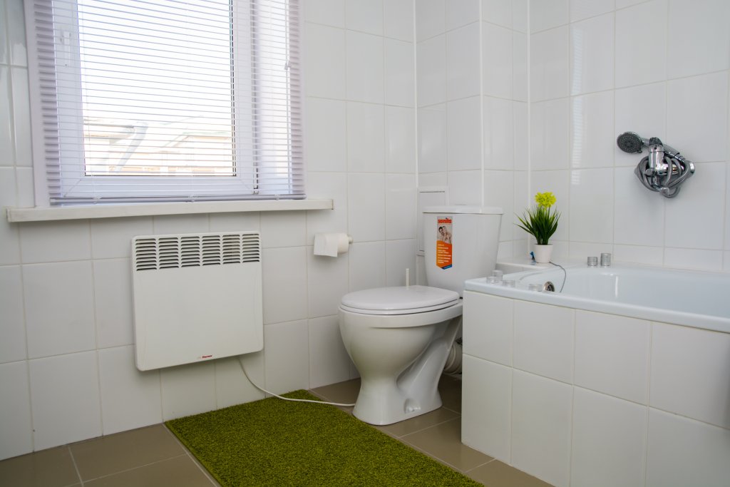 Фото Берёзка