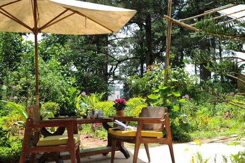 Гостиница Stop and Go Boutique Hotel Since 1982 в Далате