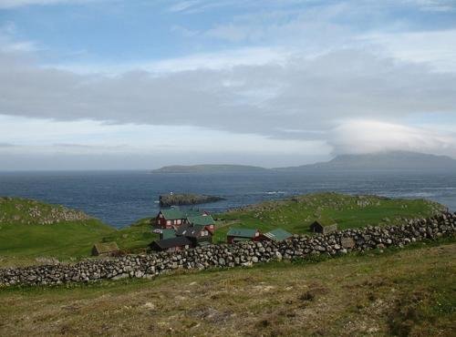 Фото 117198696955