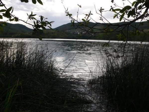 Фото Hotel Rural La Peregrina