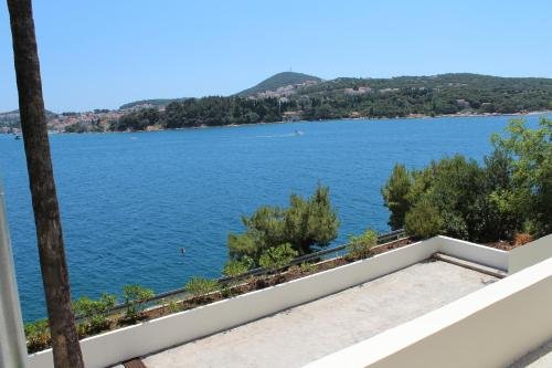 Фото Apartments Lozica