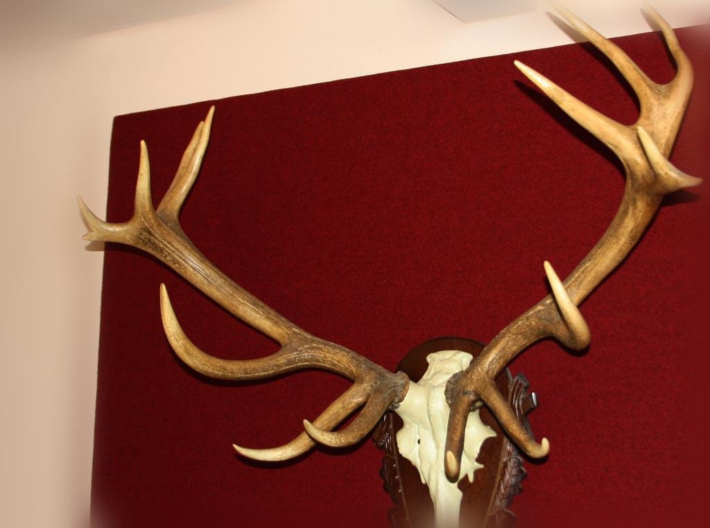 Фото Wandern und Wohlfühlpension Schuasterhof