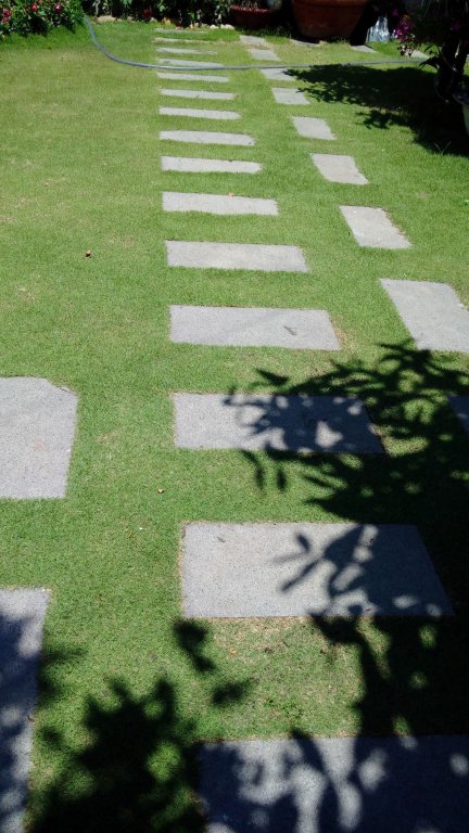 Фото Ly Ly Villa
