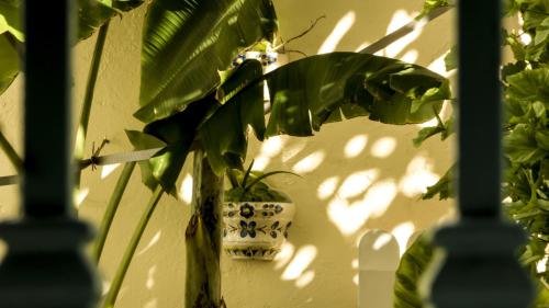 Фото Hostal Campo Nuevo