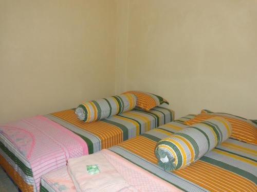 Фото Hotel Musafir Inn