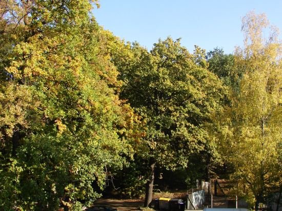 Фото Hotel zwischen den Seen