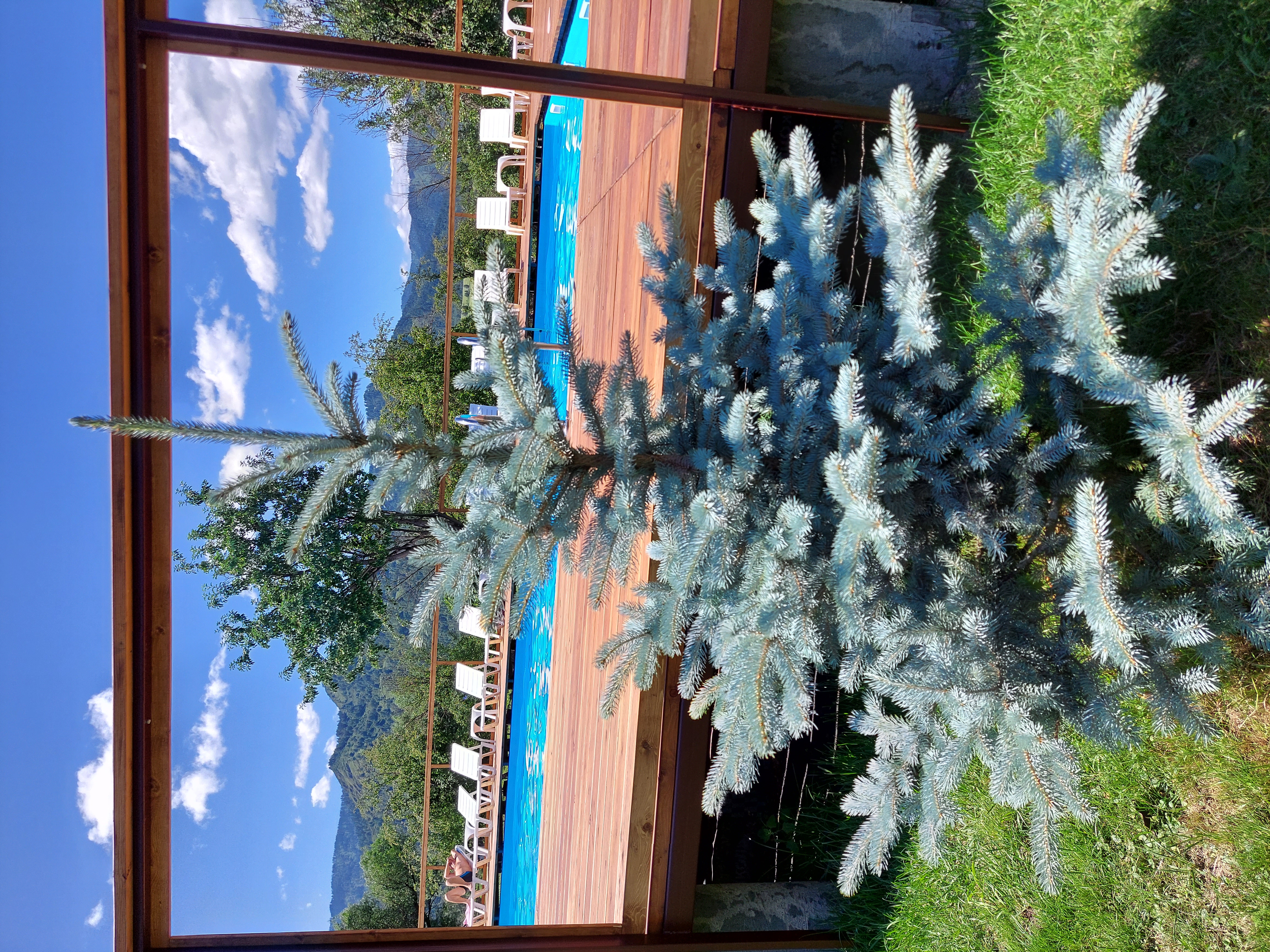 Фото Горный источник