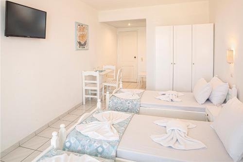 Фото Erato Seaside Hotel